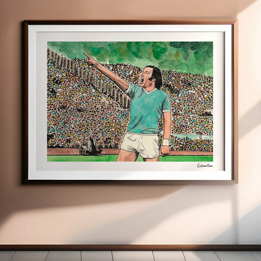 CHINAGLIA INDICA - ACQUERELLO