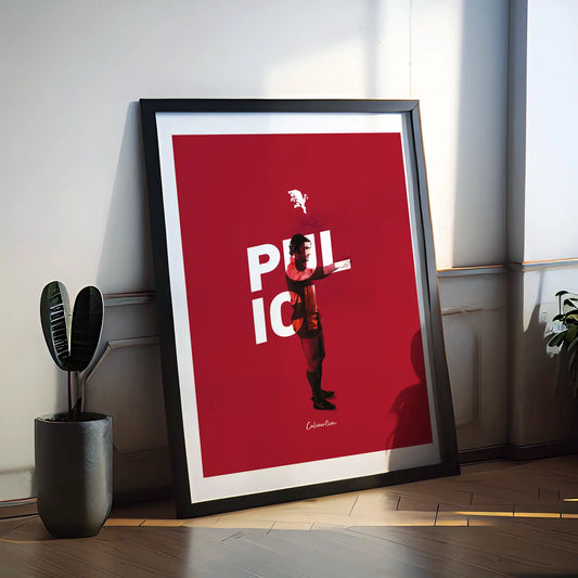 PULICI · poster in cornice, ambientazione 1